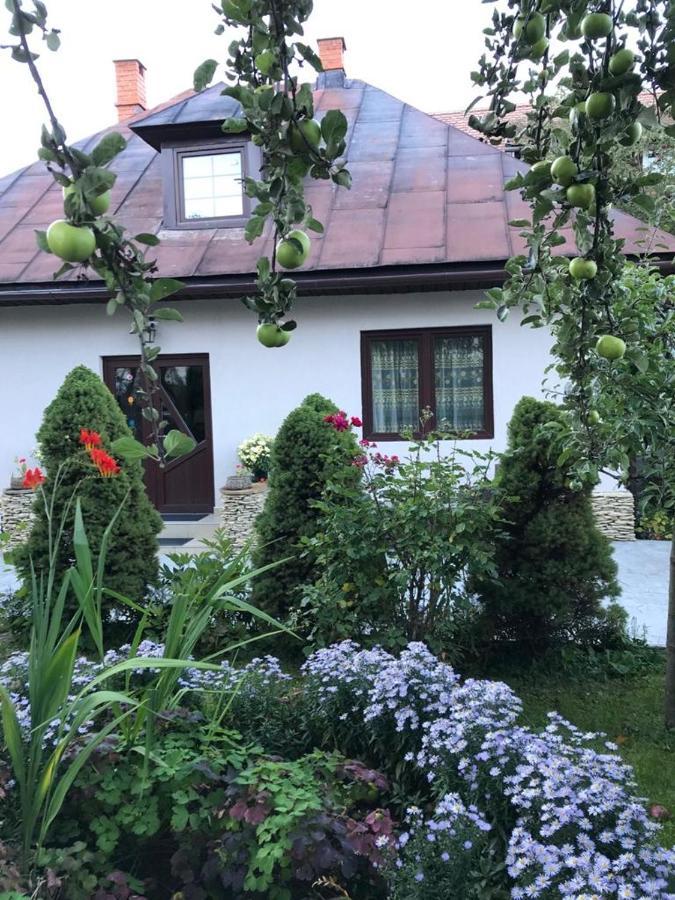 ブラン Casa Mariaヴィラ エクステリア 写真
